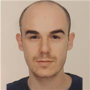 Lezioni di materie umanistiche, principalmente storia dell'arte e storia